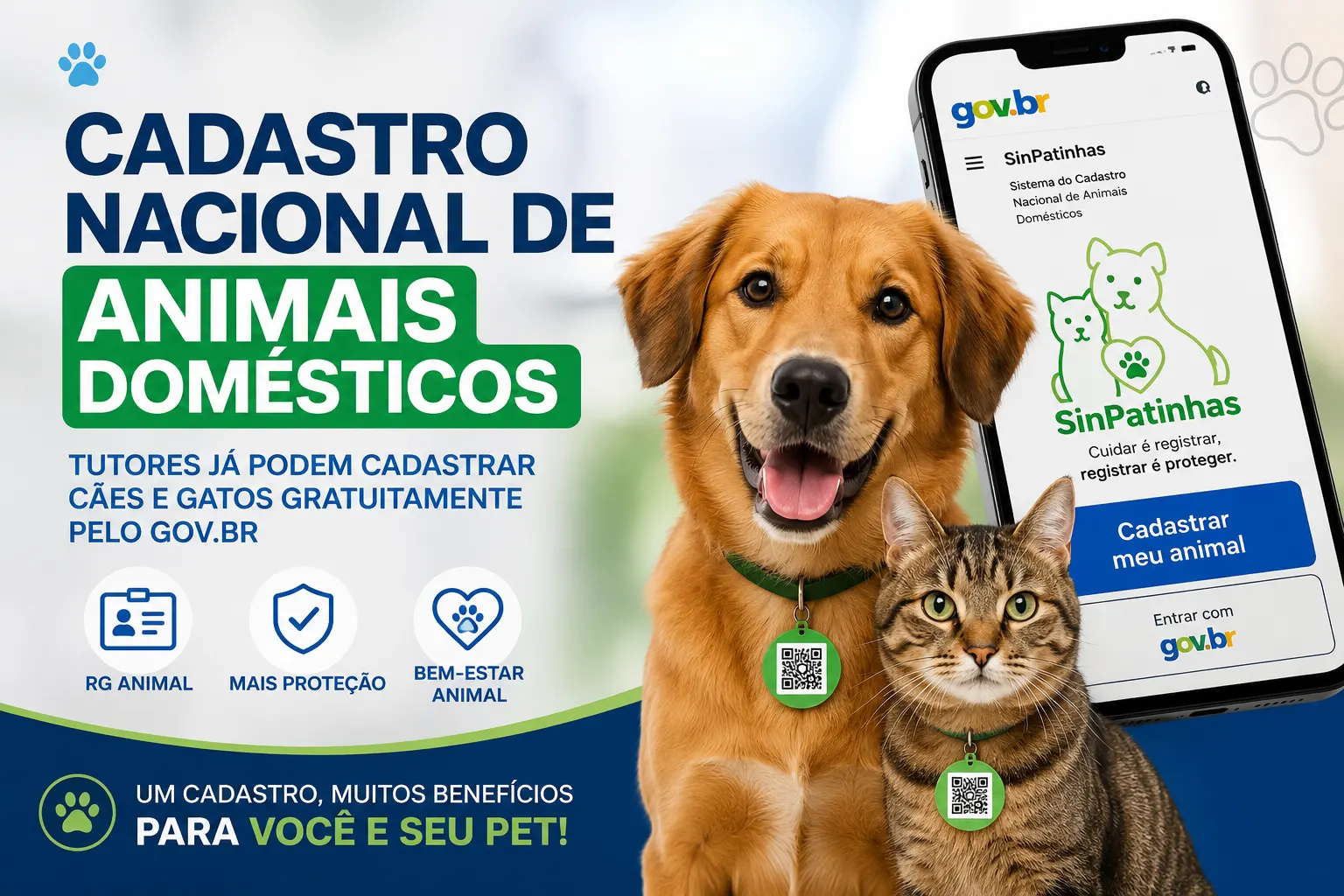 Cadastro Nacional de Animais Domésticos: tutores já podem cadastrar cães e gatos gratuitamente pelo Gov.br